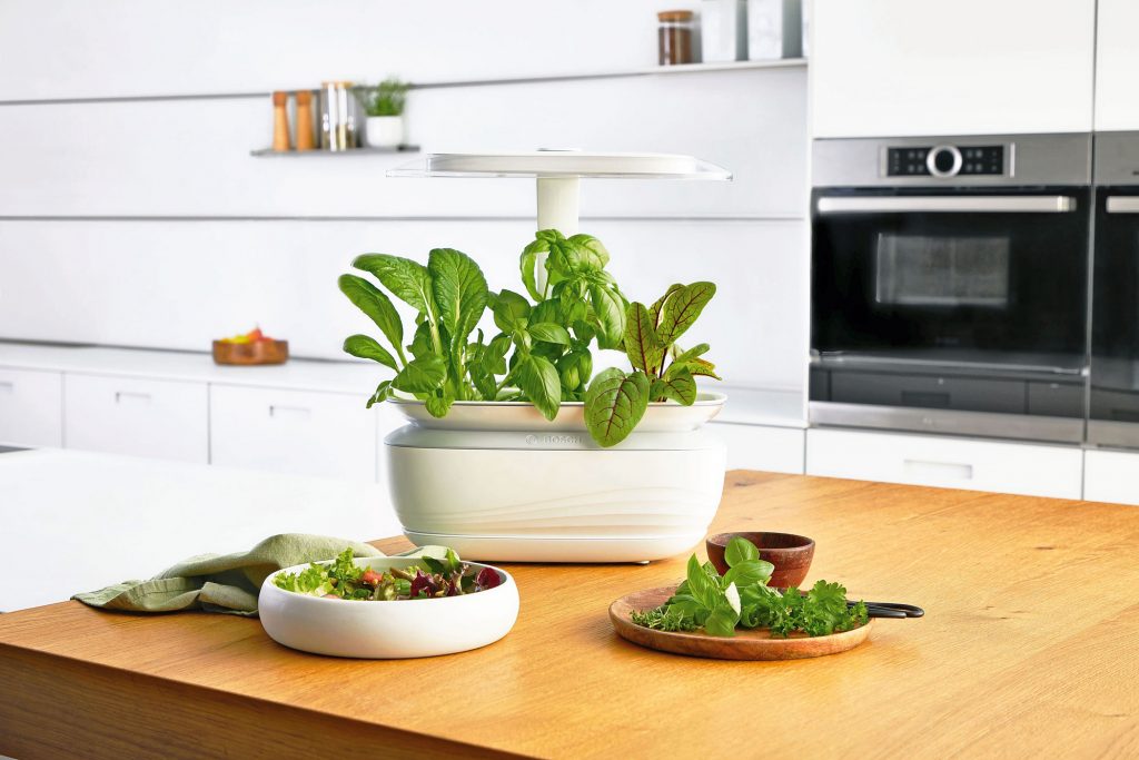 Ein Smart Garden in der Farbe weiß auf einer Küchenanrichte, davor zwei Teller mit Kräutern und Salat. Diese wurden im Smart Garden gezüchtet. 