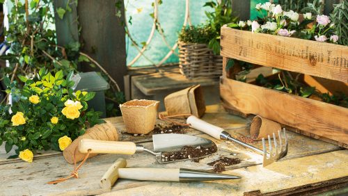 Verschiedene Gartenutensilien erstrecken sich über einen Holztisch im Gartenschuppen